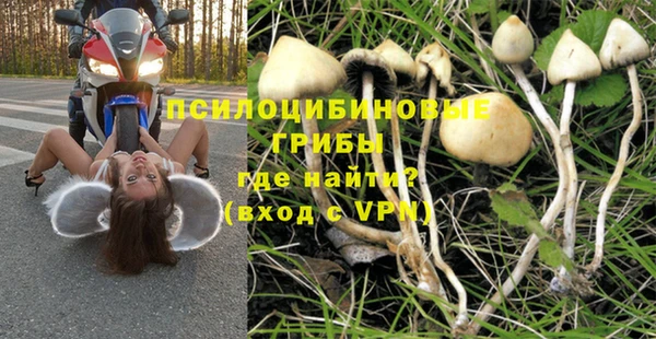 альфа пвп Каменка