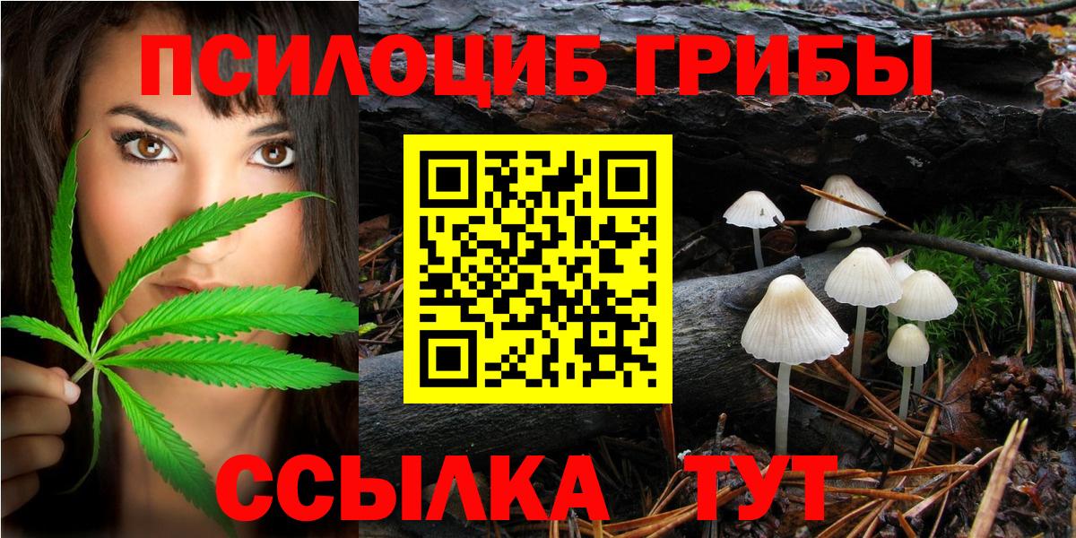 Псилоцибиновые грибы прущие грибы  Вход с VPN  где можно купить наркотик  Лыткарино 