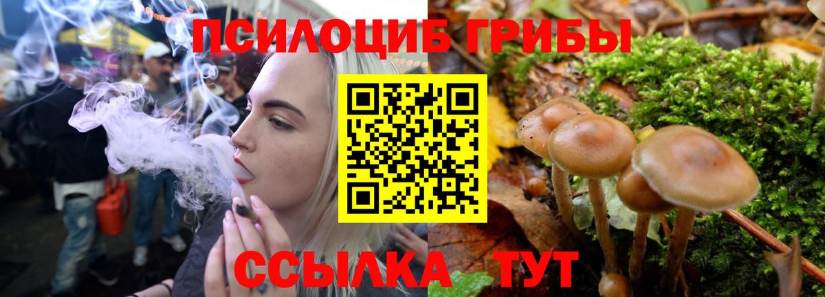 Псилоцибиновые грибы Magic Shrooms Лыткарино